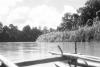 BD/133/105 Sarmi-Hollandia: Opname vanuit een boot over de rivier
