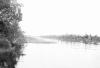 BD/133/253 Rivier met riet aan de oevers
