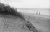 BD/133/25 Opname van het strand bij Merauke