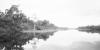 BD/133/274 Opname van de rivier met riet aan de oevers