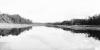 BD/133/276 Opname van de rivier met riet aan de oevers