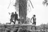 BD/133/343 Het kappen van een boom door Asmatters
