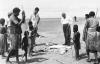BD/133/352 Dode vissen op het strand