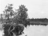 BD/133/420 Tocht Merauke-Kepi-Cookrivier vv: Landschapsopname van de rivier