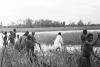 BD/133/441 Tocht Merauke-Kepi-Cookrivier vv: Groep mensen tussen het riet