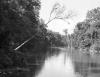 BD/133/468 Opname van de rivier