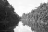 BD/133/489 Opname van de rivier