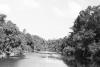 BD/133/490 Opname van de rivier