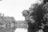 BD/133/491 Opname van de rivier