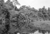 BD/133/496 Opname van de rivier