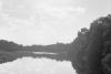 BD/133/502 Opname van de rivier