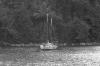 BD/133/587 Boot op het water