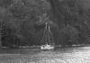 BD/133/588 Boot op het water