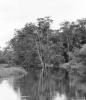 BD/133/63 Tocht Merauke-Kapi: Opname van de Merauke-rivier
