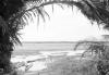 BD/133/641 Landschap met palmbomen, rivier en prauwen