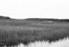 BD/133/646 Rivierlandschap, gezien vanaf de rivier