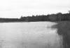 BD/133/652 Zicht op rivieroever met riet en oerwoud