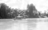 BD/133/73 Sarmi-Hollandia: Boot op de rivier