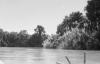BD/133/74 Sarmi-Hollandia: Opname vanuit een boot over de rivier