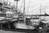 BD/133/786 Aanlegsteiger  met schepen,  haven van Hollandia
