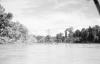 BD/133/79 Sarmi-Hollandia: Opname van de rivier met omgevallen boom