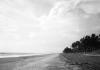 BD/133/832 Panorama van zee, strand en palmbomen
