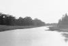 BD/133/864 Rivierlandschap met oerwoud