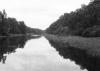 BD/133/887 Rivier met oerwoud