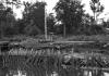 BD/133/964 Beschoeide rivieroever met Bisj-paal en nederzetting