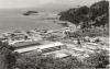 BD/253/116 Uitzicht op haven in Jayapura