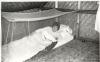 BD/253/50 Katholieke zuster in een bed