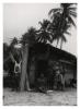 BD/54/30 Groepsfoto Papoea's, kampong Kompol I, Merauke