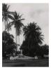 BD/54/40 Merauke, Heilig Hartmonument naast missiepost