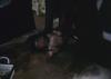BD/289/111 moeders en kinderen