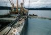 BD/66/116 Binnenschip wordt geladen met hout