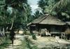BD/66/117 Woning 