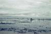 BD/66/230 Mensen zoeken eetbare schelpen op strand