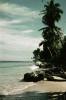BD/66/243 Strand met palmbomen