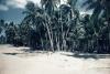 BD/66/37 Strand met palmbomen