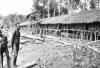 BD/66/412 Omgekapte boomstronken voor huis in Zuid Nieuw Guinea