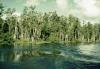 BD/66/93 Oever van een rivier 