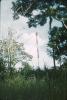 BD/171/206 natuur