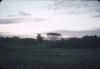 BD/171/263 Natuur