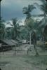 BD/171/332 Hutten tussen de palmbomen