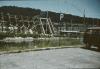 BD/171/392 Boom met bloesem