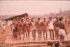 BD/171/538 Jonge mannen staan hand in hand