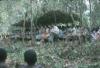 BD/171/97 Onscherpe Foto