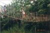 BD/269/675 2 kinderen gaan over een hangbrug heen
