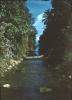 BD/171/1013 Smalle rivier met prauw.