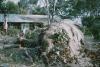 BD/171/1222 Huis met omgewaaide boom